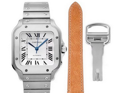 Comparison of Genuine and Replica SANTOS DE CARTIER WSSA0009 Watches by BV Factory