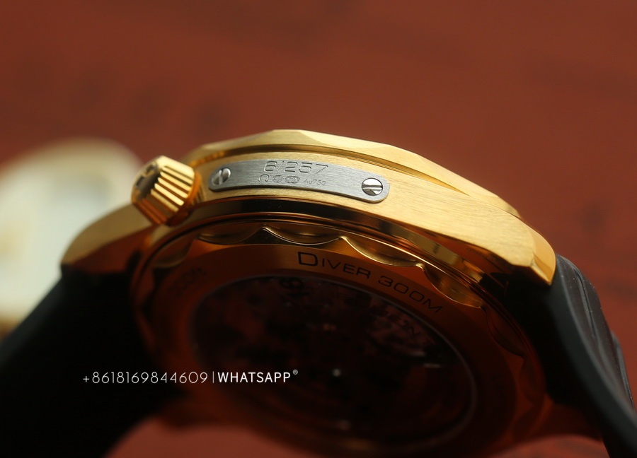 The Omega SEAMASTER DIVER 300 